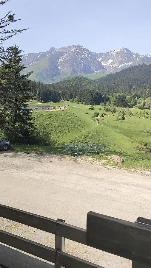 Au Petit Payolle - Appartement Type Chalet Sur Le Lac De Payolle Campan France