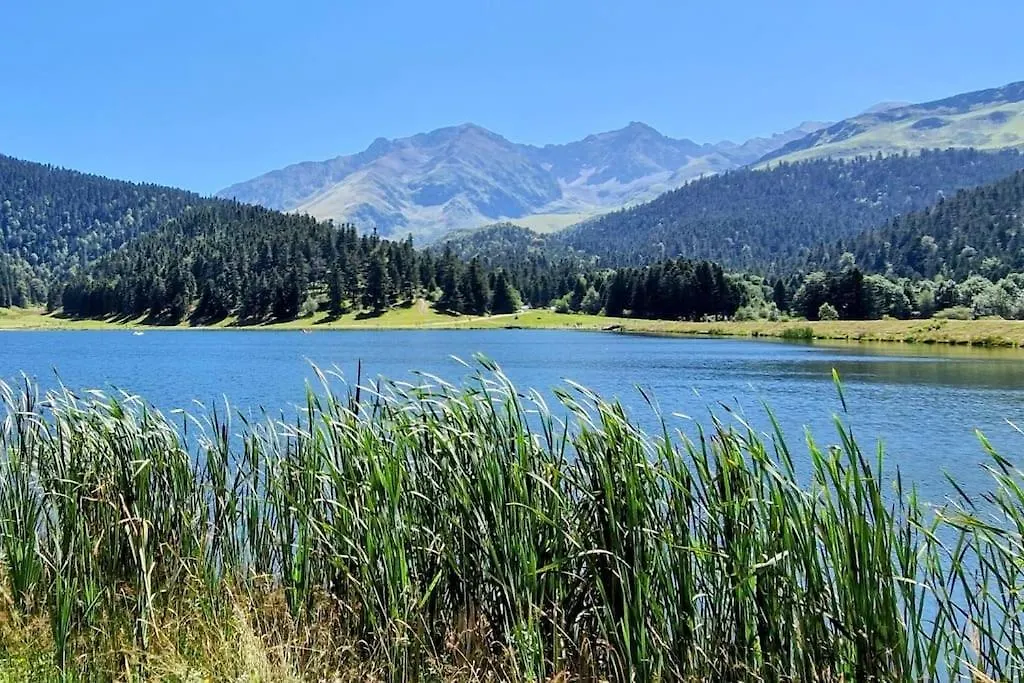 Au Petit Payolle - Appartement Type Chalet Sur Le Lac De Payolle Campan