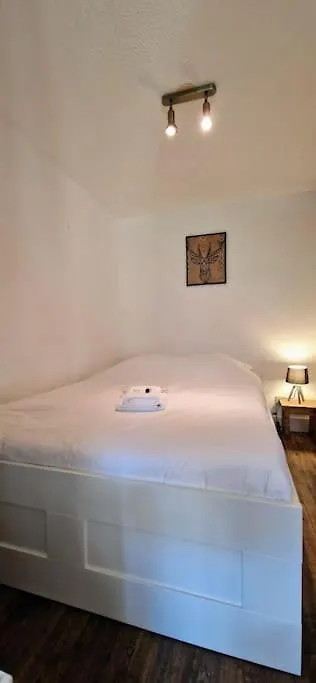 Au Petit Payolle - Appartement Type Chalet Sur Le Lac De Payolle Campan